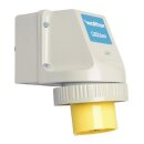 Walther 638404 Wasserdichter Wandgerätestecker zur...