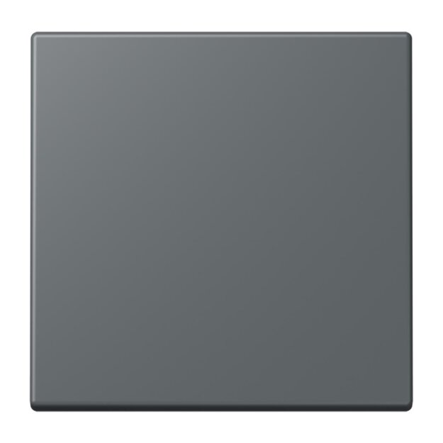 Jung BLELC990202 Bluetooth Low Energy Funk-Wandsender 2-kanalig (Thermoplast lackiert) Gris Foncé 31 Les Couleurs® Le Corbusier
