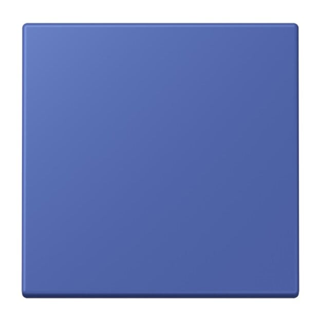 Jung BLELC990206 Bluetooth Low Energy Funk-Wandsender 2-kanalig (Thermoplast lackiert) Bleu Outremer 31 Les Couleurs® Le Corbusier