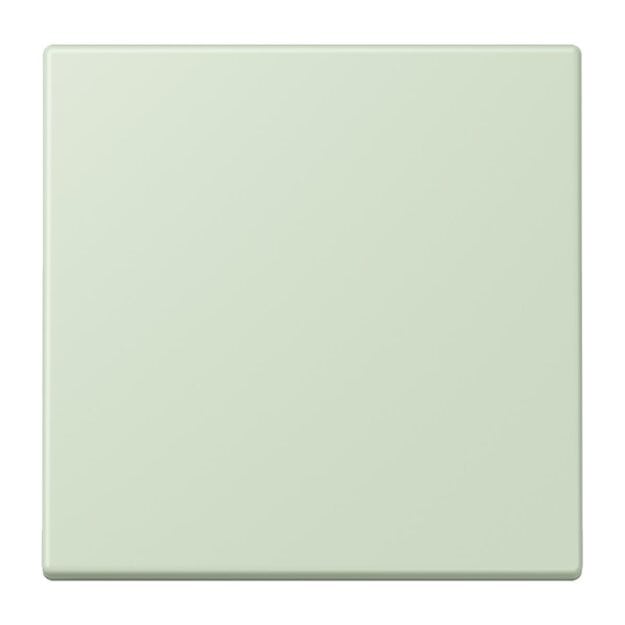 Jung BLELC990218 Bluetooth Low Energy Funk-Wandsender 2-kanalig (Thermoplast lackiert) Vert Anglâis Pale Les Couleurs® Le Corbusier