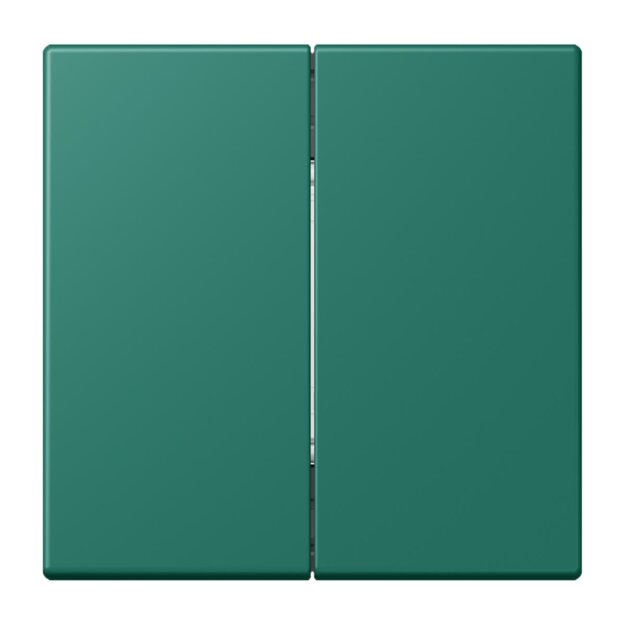 Jung BLELC995216 Bluetooth Low Energy Funk-Wandsender 4-kanalig (Thermoplast lackiert) Vert Anglais Les Couleurs® Le Corbusier