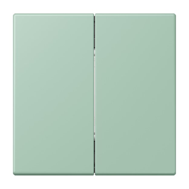 Jung BLELC995217 Bluetooth Low Energy Funk-Wandsender 4-kanalig (Thermoplast lackiert) Vert Anglais Clair Les Couleurs® Le Corbusier