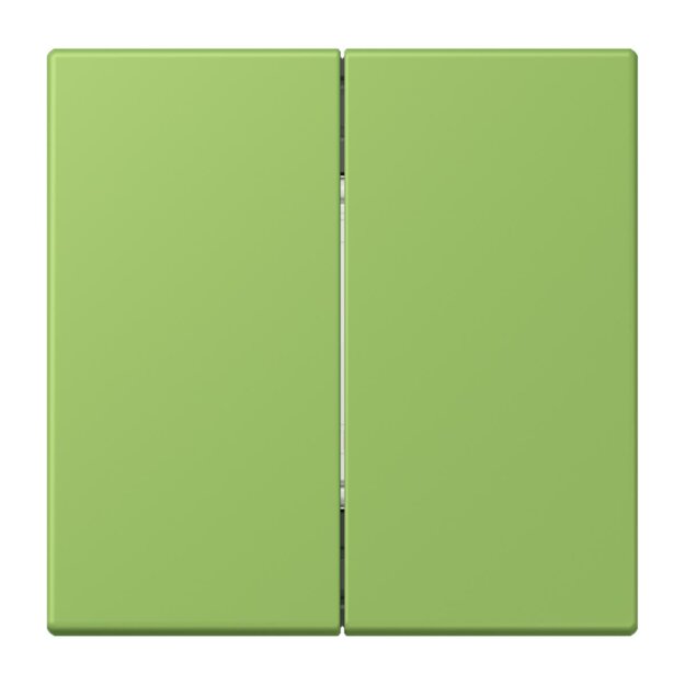 Jung BLELC995220 Bluetooth Low Energy Funk-Wandsender 4-kanalig (Thermoplast lackiert) Vert 31 Les Couleurs® Le Corbusier