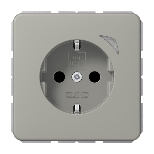 Jung BTCD1521SPT JUNG HOME SCHUKO-Steckdose Safety+ Thermoplast lackiert Platin