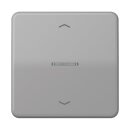 Jung BTCD17101PGR JUNG HOME Taster 1-fach mit...