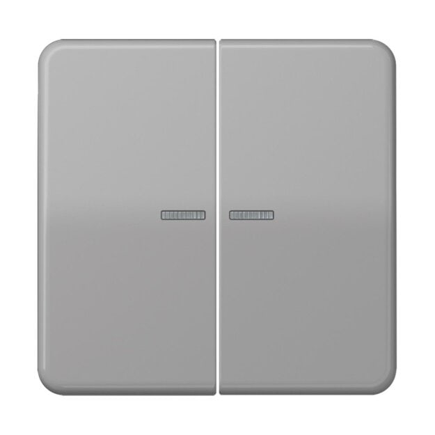Jung BTCD17102GR JUNG HOME Taster 2-fach Grau