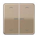 Jung BTCD17102PGB JUNG HOME Taster 2-fach mit...
