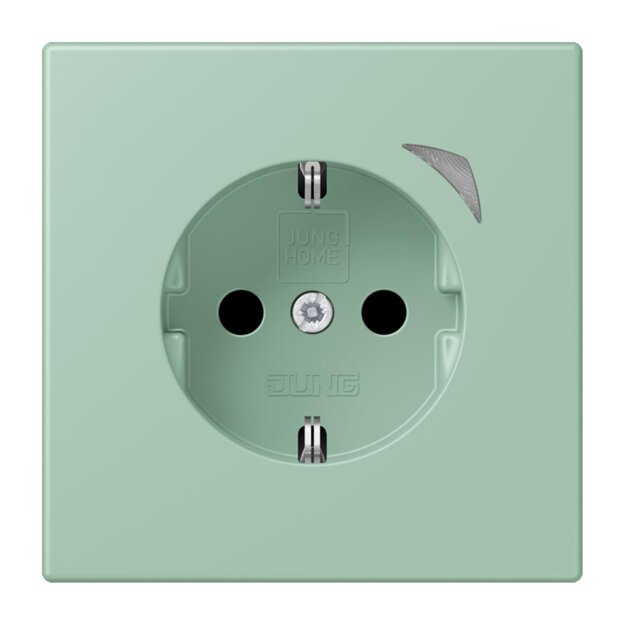 Jung BTLC1521S217 JUNG HOME SCHUKO-Steckdose Safety+ LC32041 (Thermoplast lackiert) Vert Anglais Clair Les Couleurs® Le Corbusier