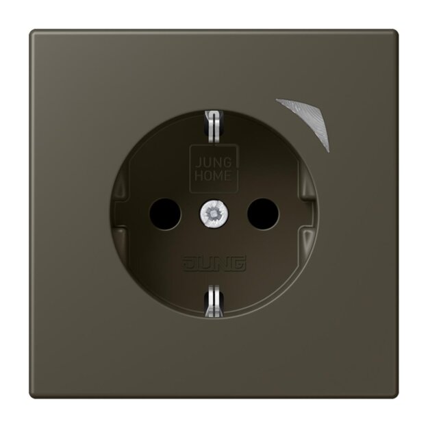 Jung BTLC1521S241 JUNG HOME SCHUKO-Steckdose Safety+ LC32140 (Thermoplast lackiert) Ombre Naturelle 31 Les Couleurs® Le Corbusier