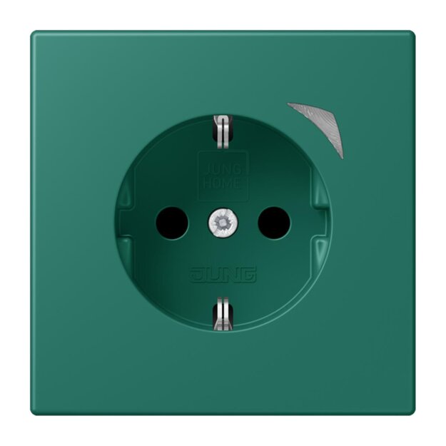 Jung BTLC1521SE216 JUNG HOME SCHUKO-Steckdose Energy Safety+ LC3200 (Thermoplast lackiert) Vert Anglais Les Couleurs® Le Corbusier
