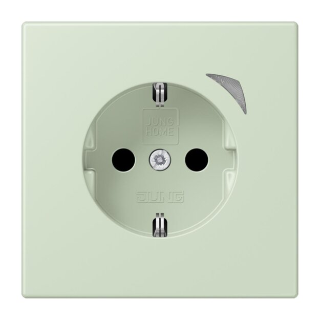 Jung BTLC1521SE218 JUNG HOME SCHUKO-Steckdose Energy Safety+ LC3200 (Thermoplast lackiert) Vert Anglâis Pale Les Couleurs® Le Corbusier