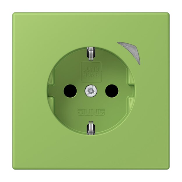 Jung BTLC1521SE220 JUNG HOME SCHUKO-Steckdose Energy Safety+ LC3200 (Thermoplast lackiert) Vert 31 Les Couleurs® Le Corbusier