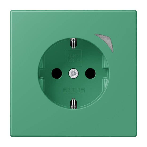 Jung BTLC1521SE250 JUNG HOME SCHUKO-Steckdose Energy Safety+ LC3200 (Thermoplast lackiert) Vert 59 Les Couleurs® Le Corbusier