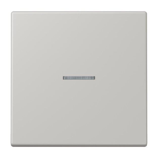 Jung BTLC17101205 JUNG HOME Taster 1-fach LC32013 Gris Clair 31 Les Couleurs® Le Corbusier