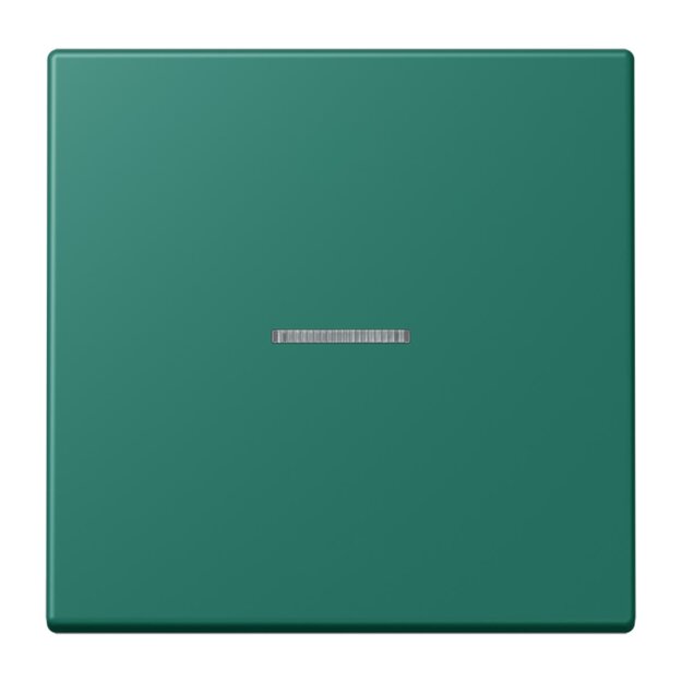 Jung BTLC17101216 JUNG HOME Taster 1-fach LC32040 Vert Anglais Les Couleurs® Le Corbusier