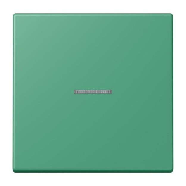 Jung BTLC17101250 JUNG HOME Taster 1-fach LC4320G Vert 59 Les Couleurs® Le Corbusier