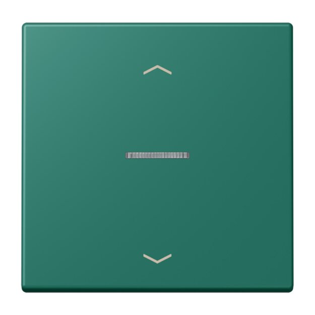 Jung BTLC17101P216 JUNG HOME Taster 1-fach mit Pfeilsymbolen Vert Anglais Les Couleurs® Le Corbusier