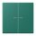 Jung BTLC17102216 JUNG HOME Taster 2-fach LC32040 Vert Anglais Les Couleurs® Le Corbusier