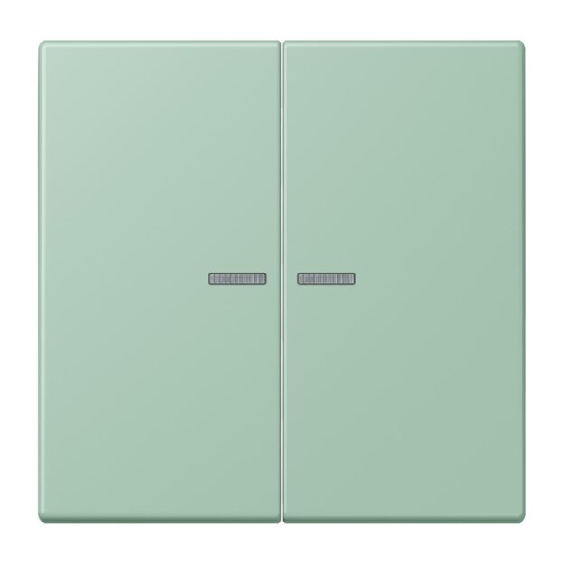 Jung BTLC17102217 JUNG HOME Taster 2-fach LC32041 Vert Anglais Clair Les Couleurs® Le Corbusier