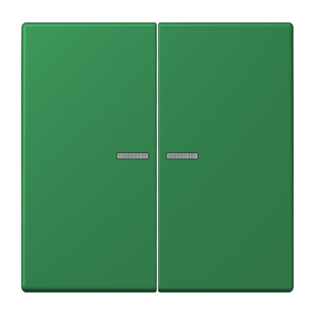 Jung BTLC17102219 JUNG HOME Taster 2-fach LC32050 Vert Foncé Les Couleurs® Le Corbusier