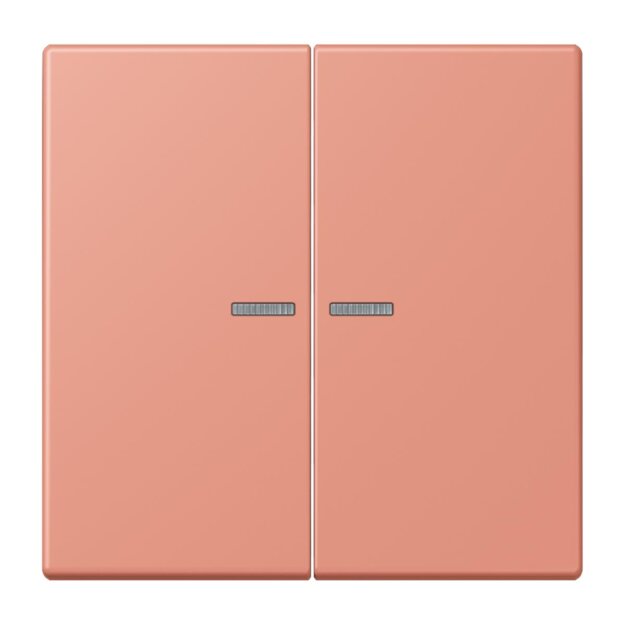 Jung BTLC17102233 JUNG HOME Taster 2-fach LC32111 LOcre Rouge Moyen Les Couleurs® Le Corbusier