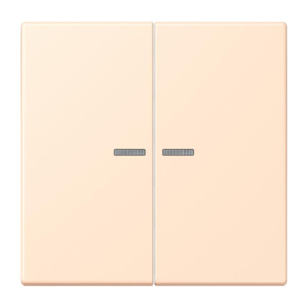 Jung BTLC17102238 JUNG HOME Taster 2-fach LC32123 Terre Sienne Pâle Les Couleurs® Le Corbusier