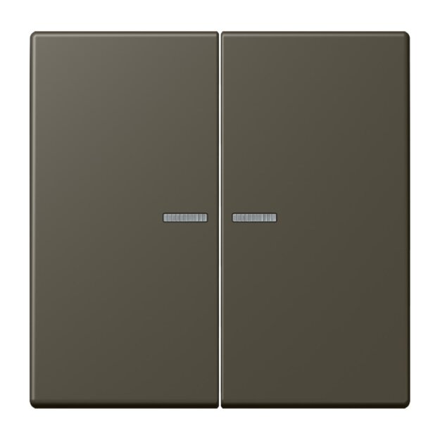 Jung BTLC17102241 JUNG HOME Taster 2-fach LC32140 Ombre Naturelle 31 Les Couleurs® Le Corbusier