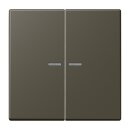 Jung BTLC17102241 JUNG HOME Taster 2-fach LC32140 Ombre...