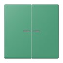 Jung BTLC17102250 JUNG HOME Taster 2-fach LC4320G Vert 59...
