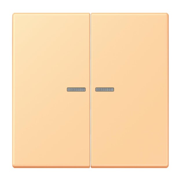 Jung BTLC17102258 JUNG HOME Taster 2-fach LC4320P Terre Sienne Claire 59 Les Couleurs® Le Corbusier