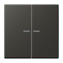 Jung BTLC17102259 JUNG HOME Taster 2-fach LC4320R Ombre...