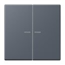 Jung BTLC17102262 JUNG HOME Taster 2-fach LC4320U Gris...