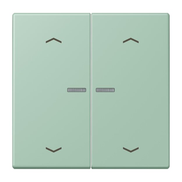 Jung BTLC17102P217 JUNG HOME Taster 2-fach mit Pfeilsymbolen Vert Anglais Clair Les Couleurs® Le Corbusier
