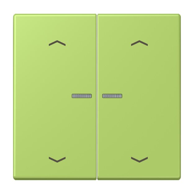 Jung BTLC17102P221 JUNG HOME Taster 2-fach mit Pfeilsymbolen Vert Clair Les Couleurs® Le Corbusier
