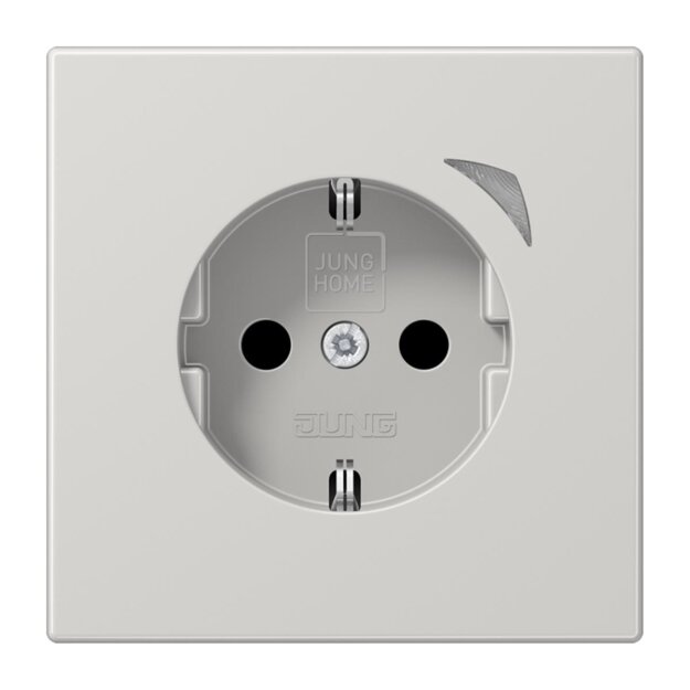 Jung BTLS1521SELG Steckdose Energy Safety+ JUNG HOME Serie LS Lichtgrau