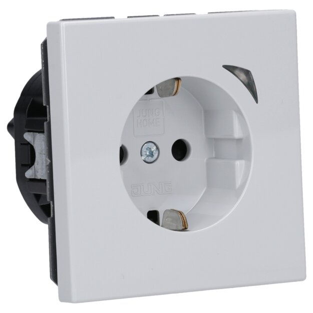 Jung BTLS1521SLG Steckdose Safety+ JUNG HOME Serie LS Lichtgrau
