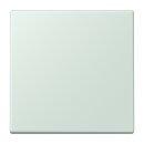 Jung ENOLC990215 EnOcean Funk-Wandsender 2-kanalig...
