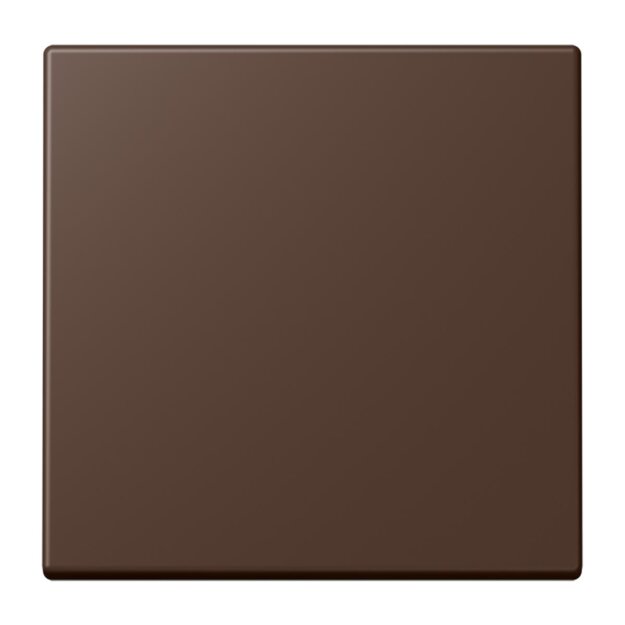 Jung ENOLC990239 EnOcean Funk-Wandsender 2-kanalig LC32130 Terre DOmbre Brûlée 31 Les Couleurs® Le Corbusier