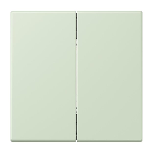 Jung FOHLC995218 Friends of Hue Funk Wandsender Set 4-kanalig LC32 Vert Anglâis Pale Les Couleurs® Le Corbusier