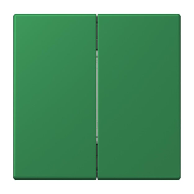 Jung FOHLC995219 Friends of Hue Funk Wandsender Set 4-kanalig LC32 Vert Foncé Les Couleurs® Le Corbusier