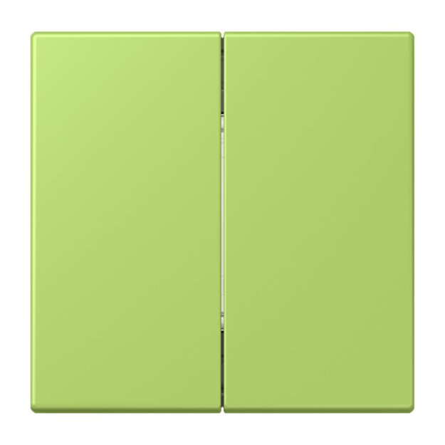 Jung FOHLC995221 Friends of Hue Funk Wandsender Set 4-kanalig LC32 Vert Clair Les Couleurs® Le Corbusier