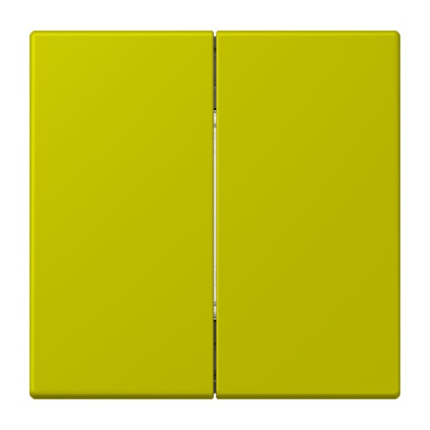 Jung FOHLC995249 Friends of Hue Funk Wandsender Set 4-kanalig LC43 Vert Olive Vif Les Couleurs® Le Corbusier