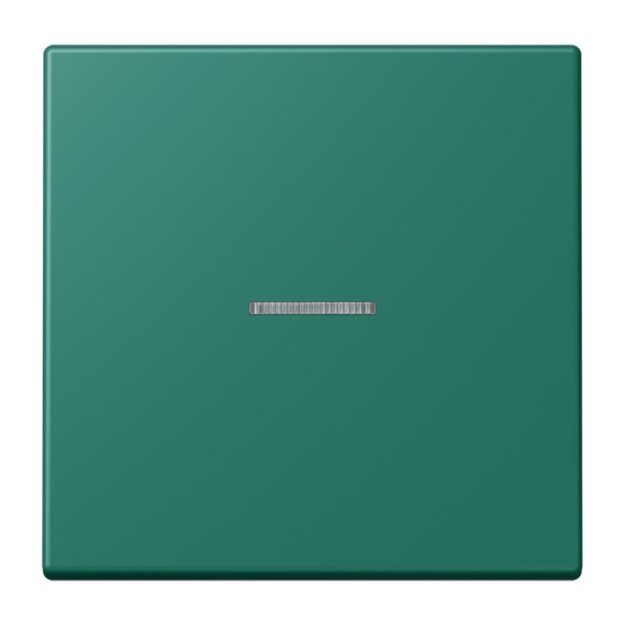 Jung LC101KO5216 Wippe mit Lichtleiter für KNX Taster 1-fach Vert Anglais Les Couleurs® Le Corbusier