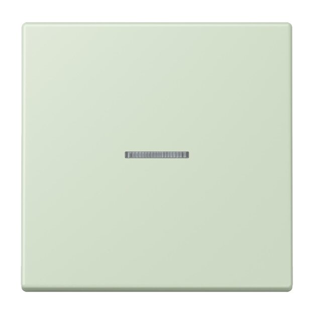 Jung LC101KO5218 Wippe mit Lichtleiter für KNX Taster 1-fach Vert Anglâis Pale Les Couleurs® Le Corbusier