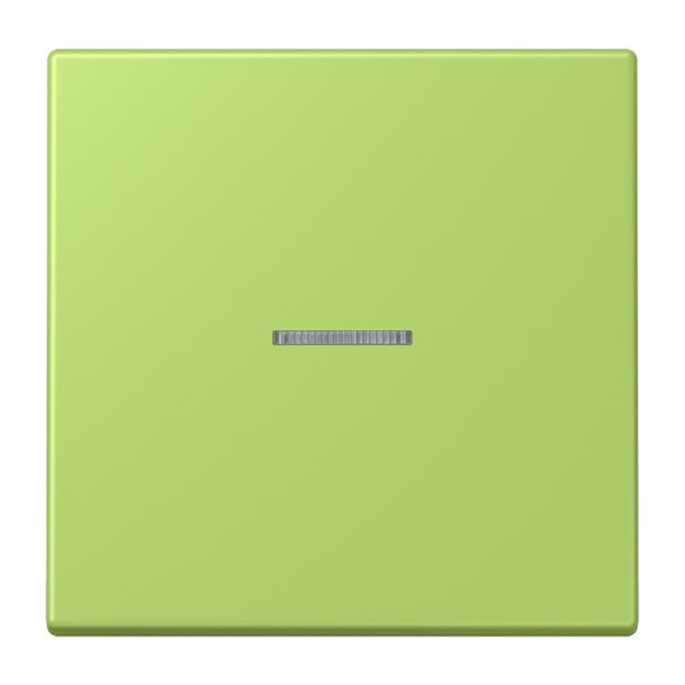 Jung LC101KO5221 Wippe mit Lichtleiter für KNX Taster 1-fach Vert Clair Les Couleurs® Le Corbusier
