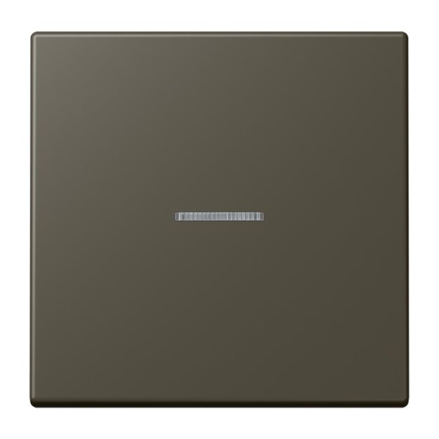 Jung LC101KO5241 Wippe mit Lichtleiter für KNX Taster 1-fach Ombre Naturelle 31 Les Couleurs® Le Corbusier