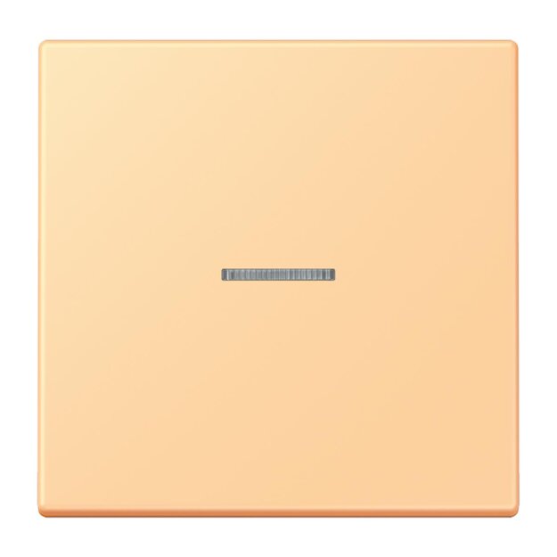 Jung LC101KO5258 Wippe mit Lichtleiter für KNX Taster 1-fach Terre Sienne Claire 59 Les Couleurs® Le Corbusier