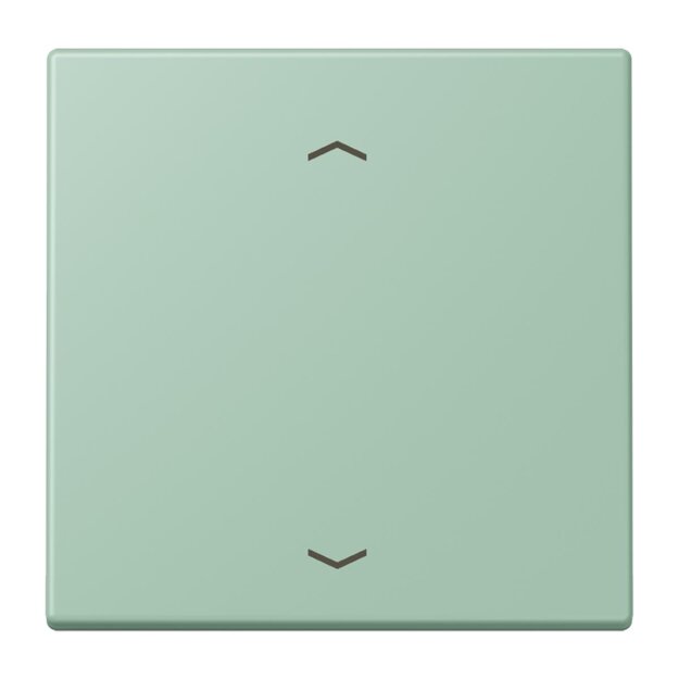Jung LC101P217 Wippe mit Pfeilsymbolen für KNX Taster 1-fach (Duroplast lackiert) Vert Anglais Clair Les Couleurs® Le Corbusier