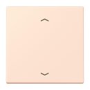 Jung LC101P226 Wippe mit Pfeilsymbolen für KNX...