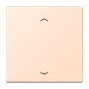 Jung LC101P228 Wippe mit Pfeilsymbolen für KNX...